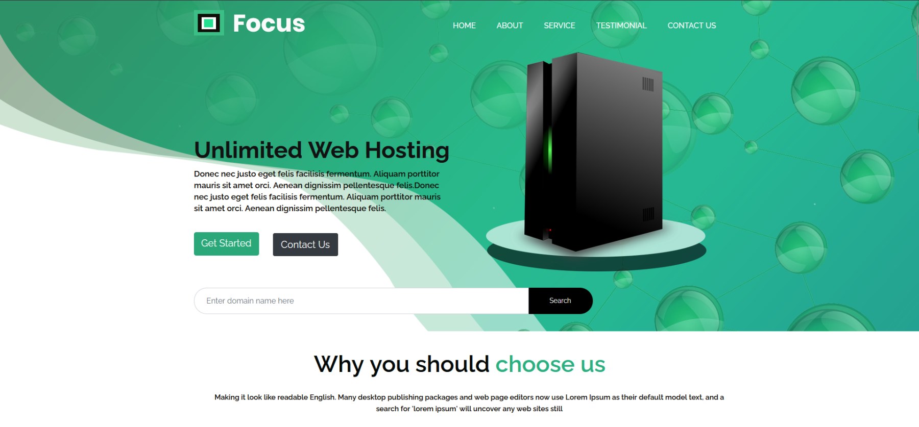 Focus Webhosting template preview